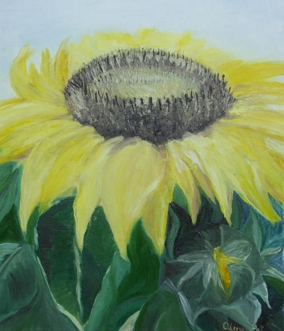Sunflower in the light