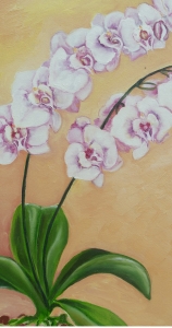 Orhideea